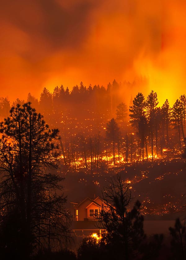 wildfire on mountain side